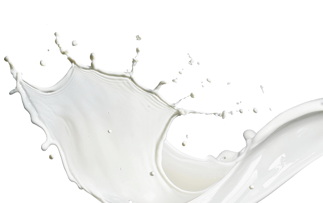 milk 